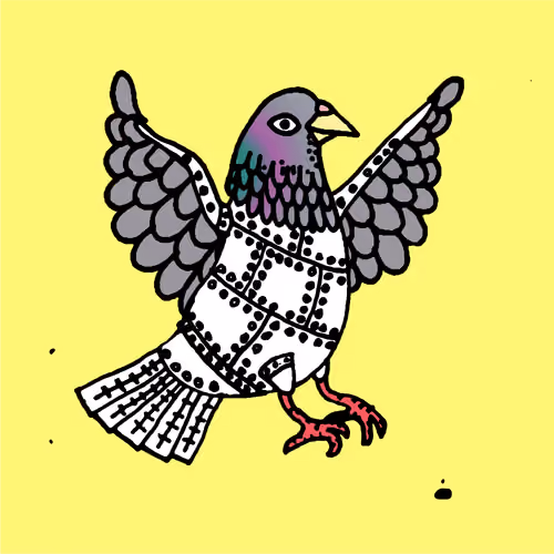 Hood Pigeon #2191