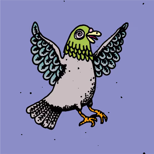 Hood Pigeon #732
