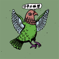 Hood Pigeon #1185