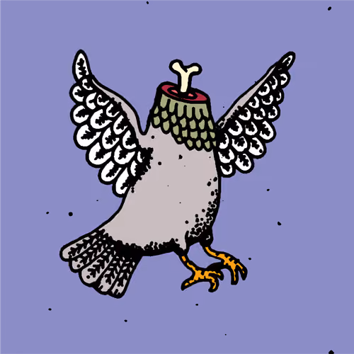 Hood Pigeon #1651