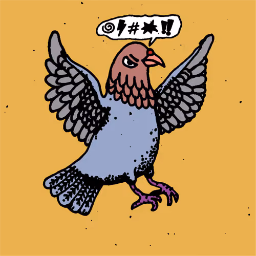 Hood Pigeon #1314