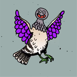 Hood Pigeon #746
