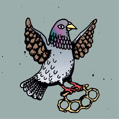 Hood Pigeon #1631