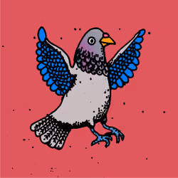 Hood Pigeon #1019