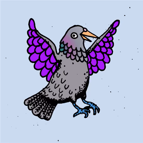 Hood Pigeon #1443