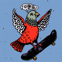 Hood Pigeon #959