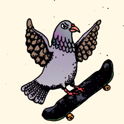 Hood Pigeon #2482