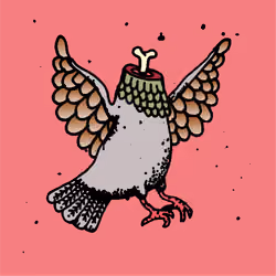Hood Pigeon #2068