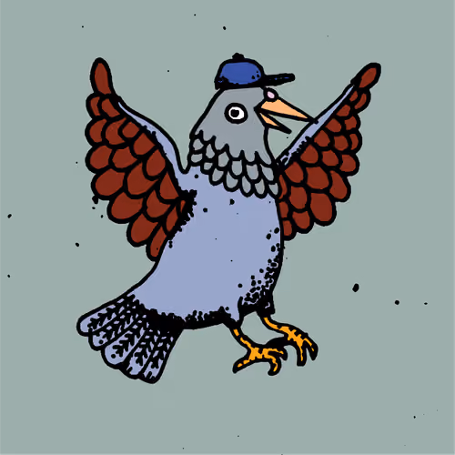 Hood Pigeon #2264