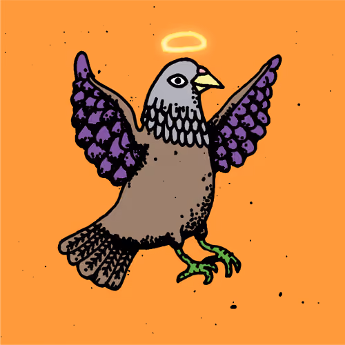 Hood Pigeon #722