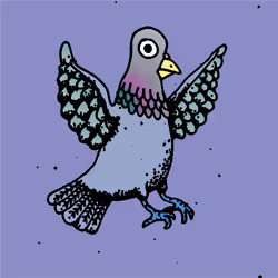 Hood Pigeon #1001