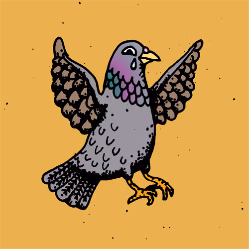 Hood Pigeon #1360