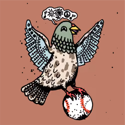Hood Pigeon #5256