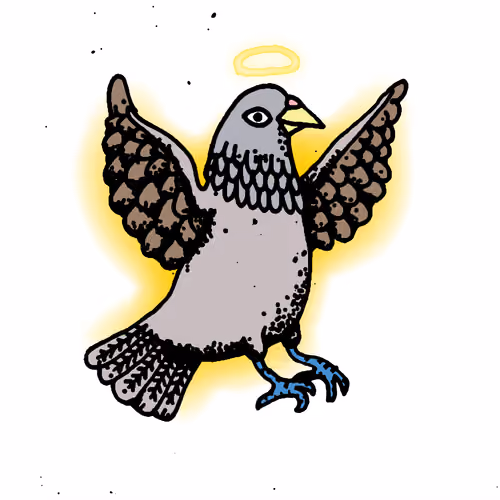 Hood Pigeon #2297