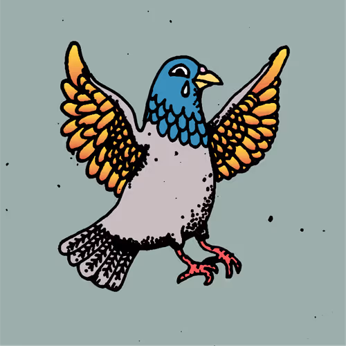 Hood Pigeon #2763