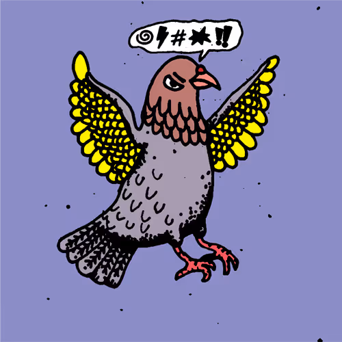 Hood Pigeon #2992