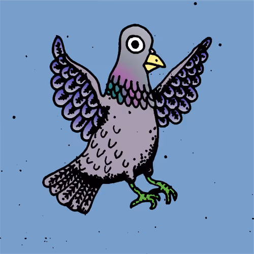 Hood Pigeon #2667