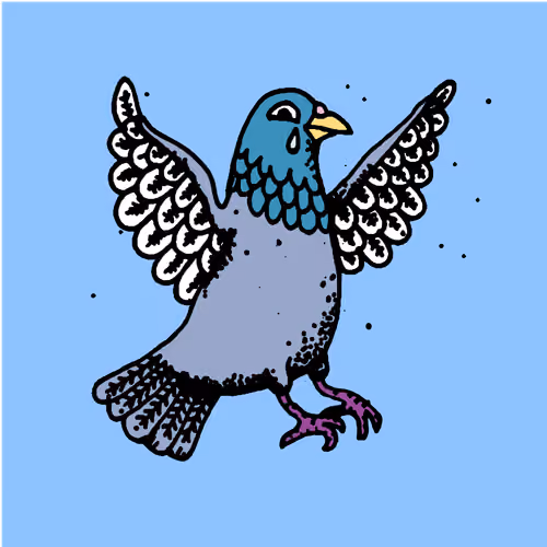 Hood Pigeon #2879