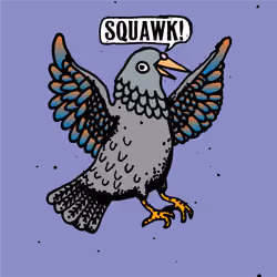 Hood Pigeon #160