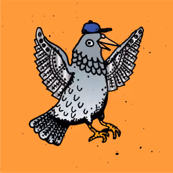 Hood Pigeon #1342