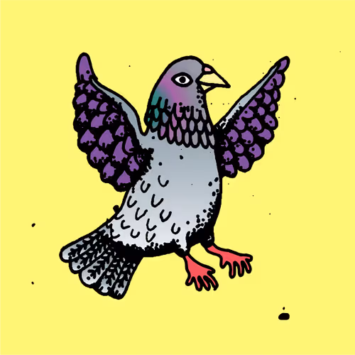Hood Pigeon #2019
