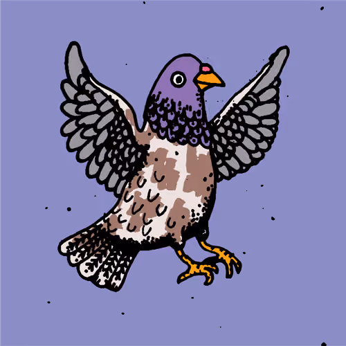 Hood Pigeon #2118