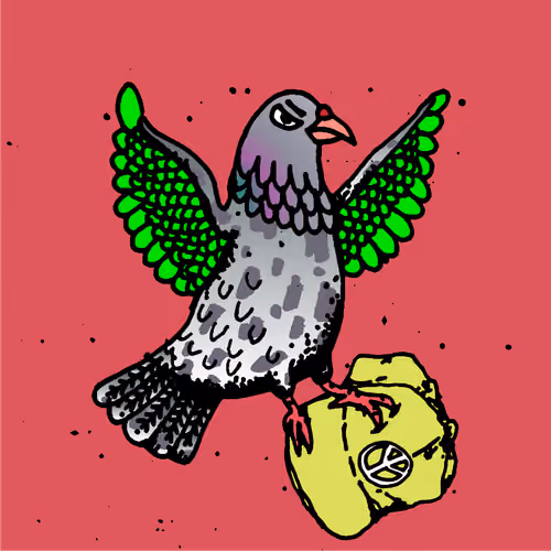 Hood Pigeon #2277