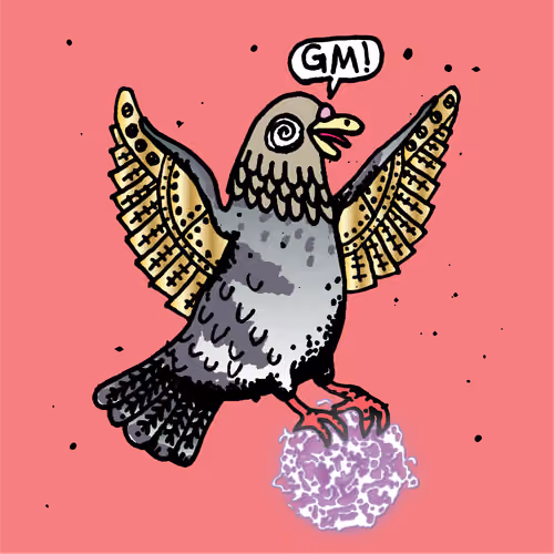 Hood Pigeon #2860