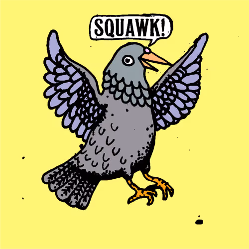 Hood Pigeon #1206