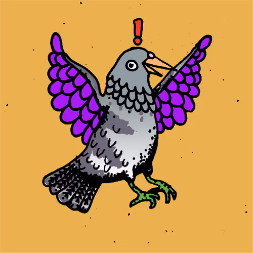 Hood Pigeon #1464