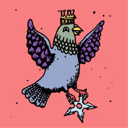 Hood Pigeon #879