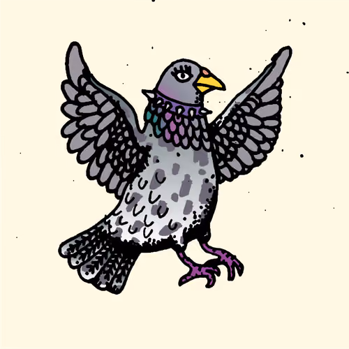 Hood Pigeon #2841