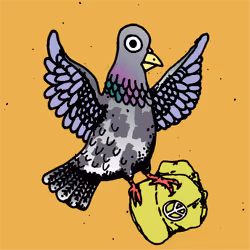 Hood Pigeon #2679
