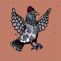 Hood Pigeon #1737
