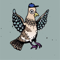 Hood Pigeon #1735