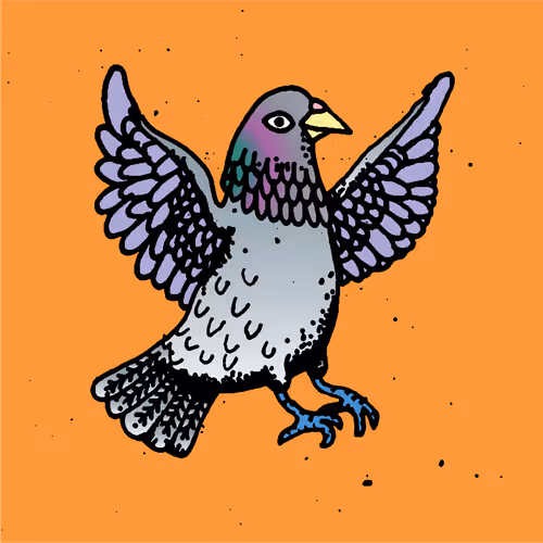 Hood Pigeon #1028