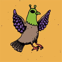 Hood Pigeon #2207