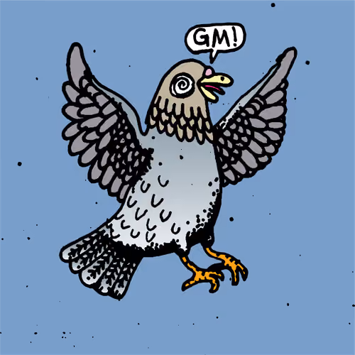 Hood Pigeon #1347