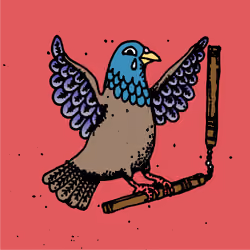 Hood Pigeon #1780