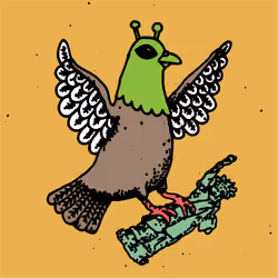 Hood Pigeon #2997