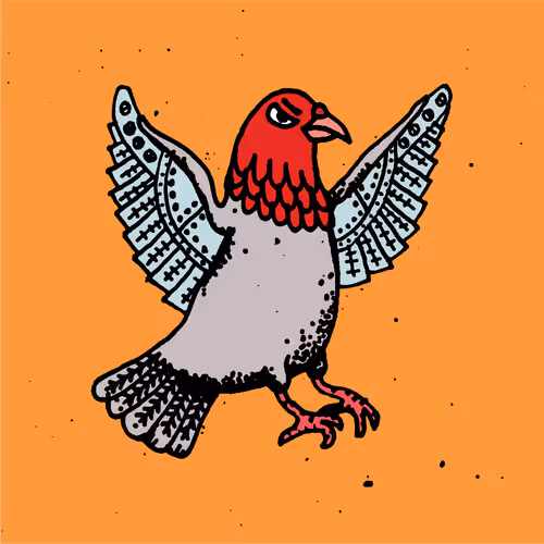Hood Pigeon #2256
