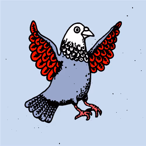Hood Pigeon #2162