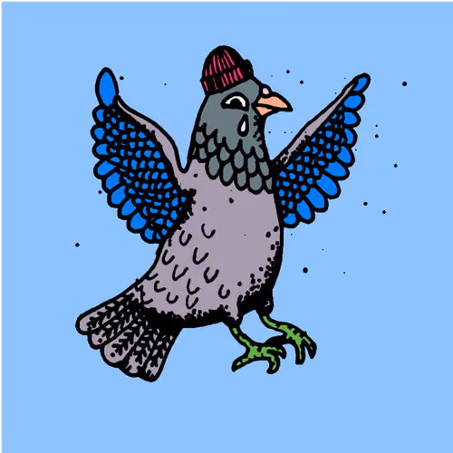 Hood Pigeon #2432
