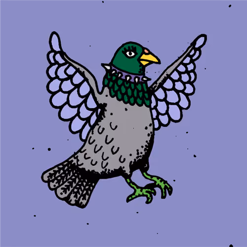 Hood Pigeon #1829