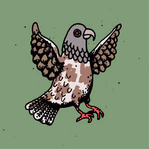 Hood Pigeon #261