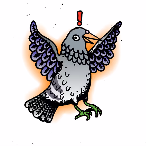 Hood Pigeon #2495