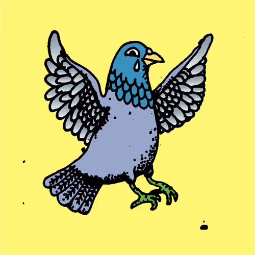 Hood Pigeon #1687