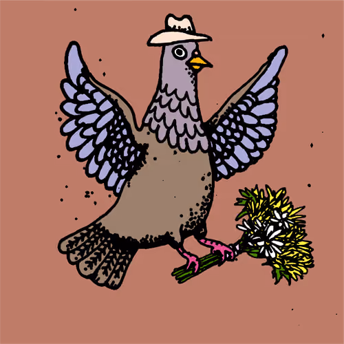 Hood Pigeon #995
