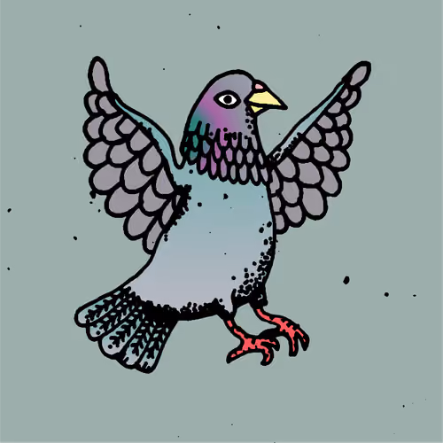Hood Pigeon #936