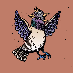 Hood Pigeon #300